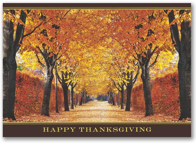 Thanksgiving Cards Printed